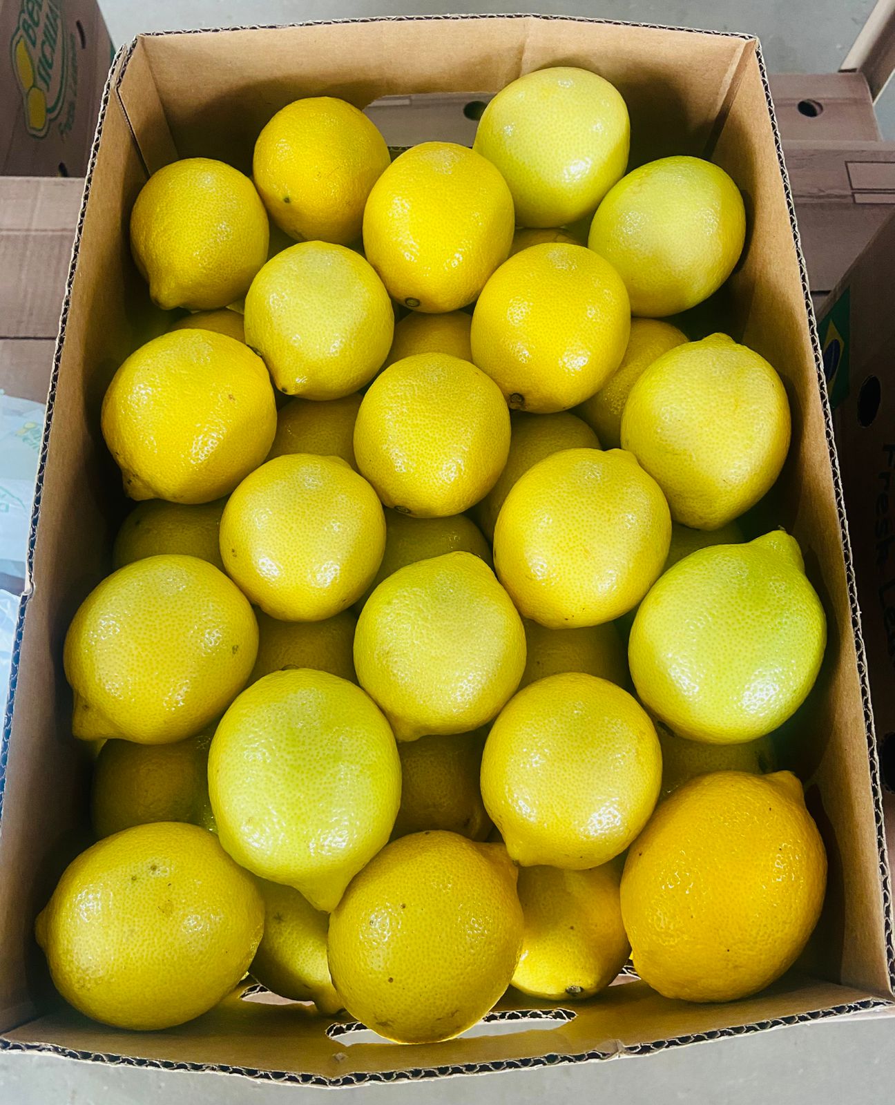Box of Sicilian lemons
